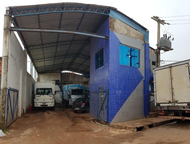 phoca thumb l gelo da ilha frota 03