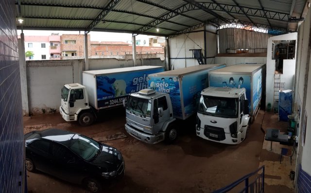 phoca thumb l gelo da ilha frota 03