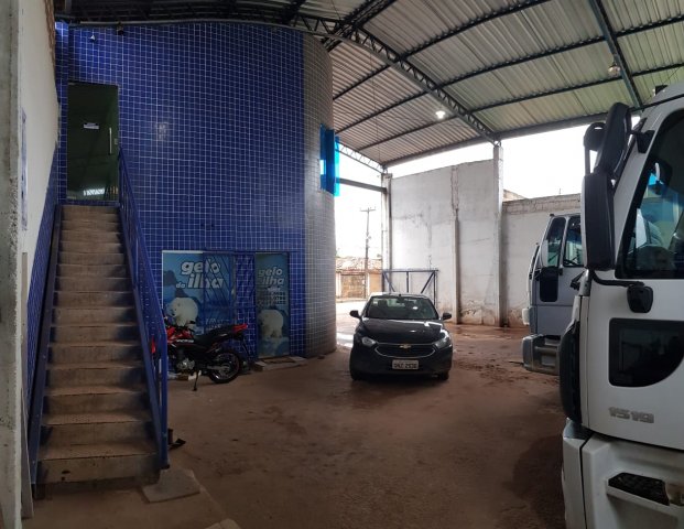 phoca thumb l gelo da ilha frota 03