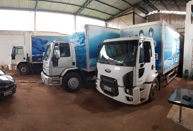 phoca thumb l gelo da ilha frota 03